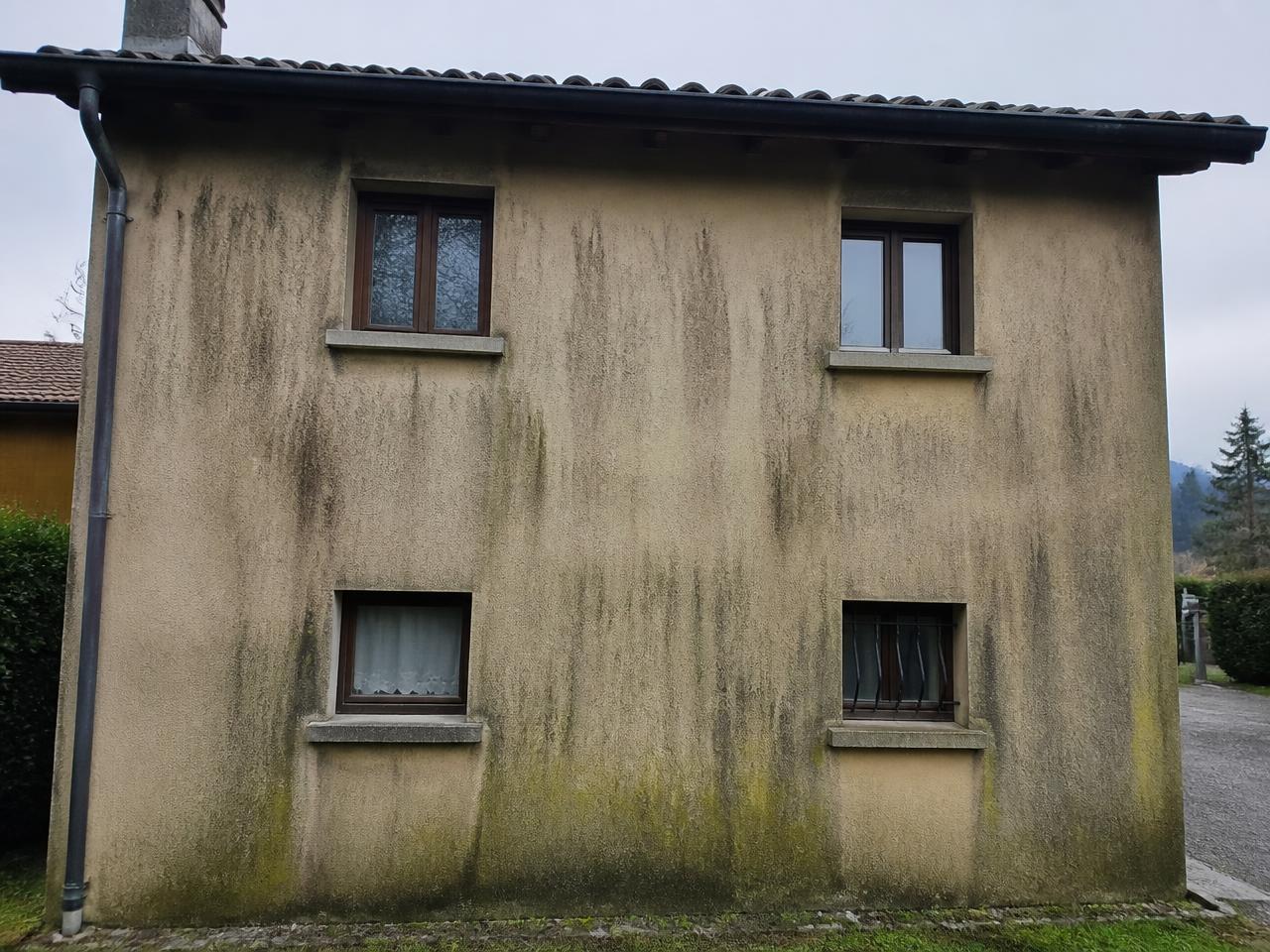 Façade de maison couverte de mousses vertes et de traces noires avant nettoyage